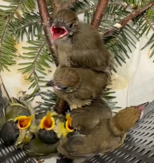 I tak przez cały czas.