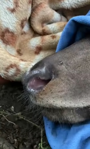 &bdquo;Rykowisko niestety nie dla Ciebie w tym roku&rdquo;