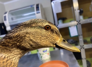 Świąteczny nastr&oacute;j i wolny czas?