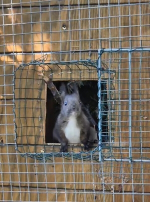 Krok po kroku do wolności!