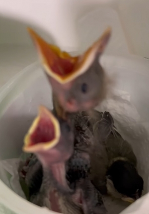 Z dnia na dzień mamy ich coraz więcej&hellip;