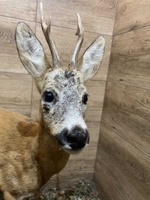 Niekt&oacute;rzy nasi pacjenci z kilku dni.